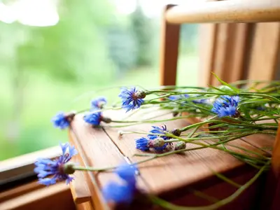 Ferienwohnung für 6 Personen (66 m²) in Bad Herrenalb 9/10