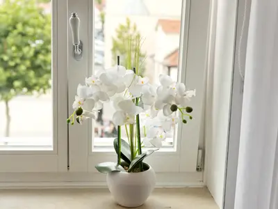 Ferienwohnung für 1 Person (60 m²) in Bad Hersfeld 4/10