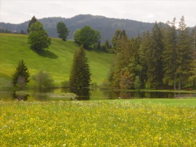 Frühjahr im Allgäu