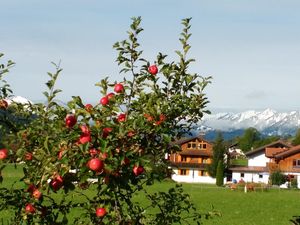 18701201-Ferienwohnung-2-Bad Hindelang-300x225-3