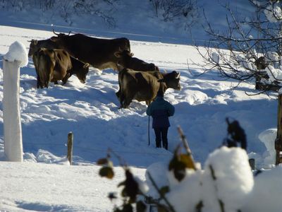 Wellness im Schnee