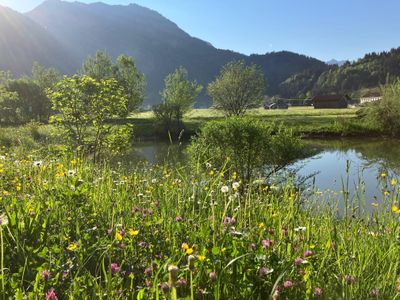 Am Barfußpfad-Lohwäldchen1