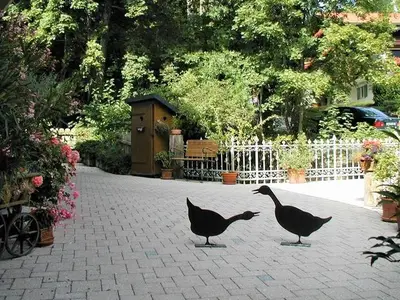 Ferienwohnung für 4 Personen (50 m²) in Bad Hindelang 4/10