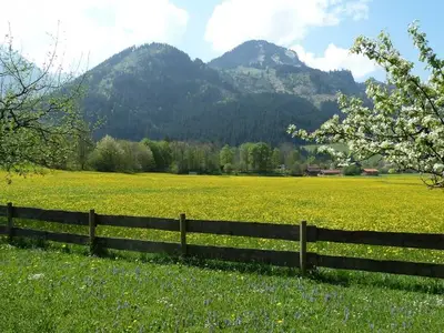 Ferienwohnung für 2 Personen (60 m²) in Bad Hindelang 3/10