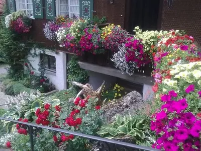 Ferienwohnung für 4 Personen (115 m²) in Bad Hindelang 4/10