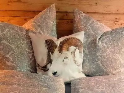 Ferienwohnung für 2 Personen (40 m²) in Bad Hindelang 9/10