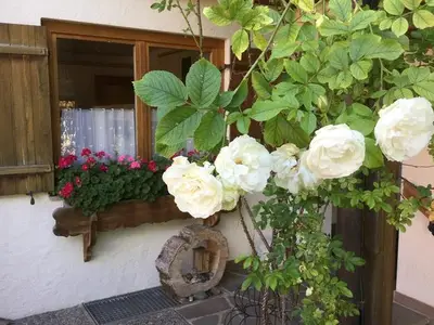 Ferienwohnung für 4 Personen (55 m²) in Bad Hindelang 1/10