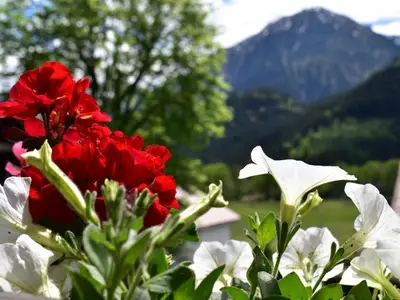 Ferienwohnung für 2 Personen (69 m²) in Bad Hindelang 2/10
