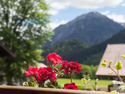 Ferienwohnung für 2 Personen (69 m²) in Bad Hindelang 8/10