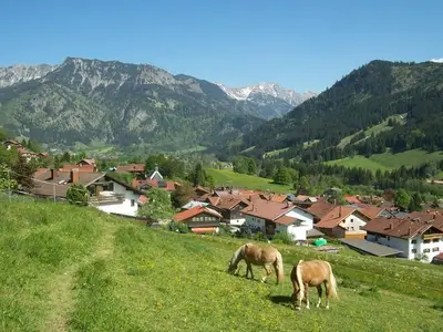 Ferienwohnung für 2 Personen (57 m²) in Bad Hindelang 10/10