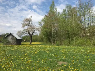 Ferienwohnung für 4 Personen (70 m²) in Bad Hindelang 7/10