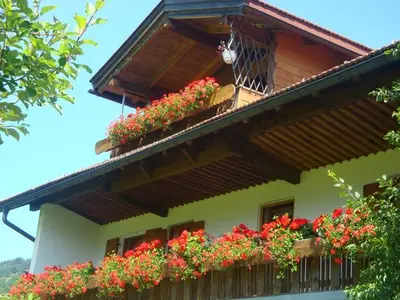 Ferienwohnung für 3 Personen (42 m²) in Bad Hindelang 6/10