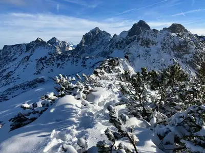 Ferienwohnung für 3 Personen (42 m²) in Bad Hindelang 10/10