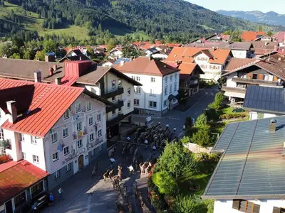 Ferienwohnung für 4 Personen (45 m²) in Bad Hindelang 8/10