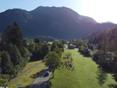 Ferienwohnung für 4 Personen (45 m²) in Bad Hindelang 10/10