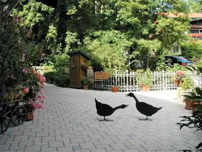 Einfahrt & Parkplatz