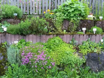 Kräutergarten