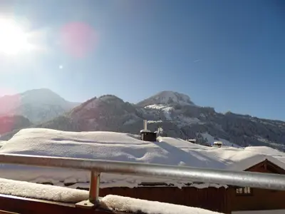 Blick Imberger Horn