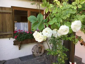 Ferienwohnung für 3 Personen (45 m²) in Bad Hindelang