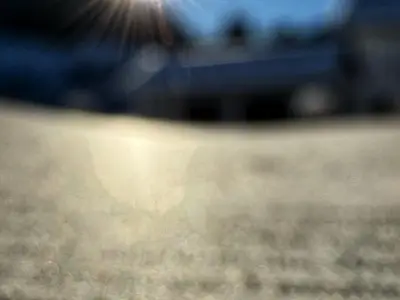 Frost