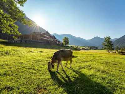 Drohnenaufnahme Sommer