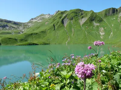 Hinterstein