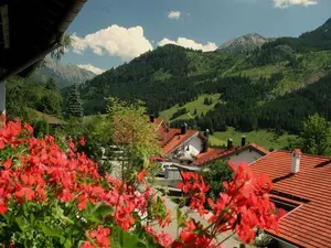 Ferienwohnung für 3 Personen (55 m²) in Bad Hindelang