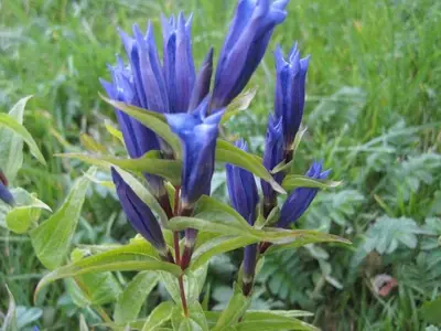Ferienwohnung für 4 Personen (50 m²) in Bad Hindelang 7/10