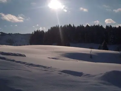 Ferienwohnung für 4 Personen (70 m²) in Bad Hindelang 2/10
