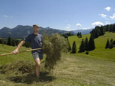 Ferienwohnung für 4 Personen (70 m²) in Bad Hindelang 5/10