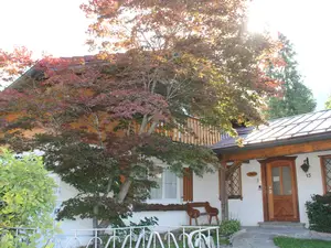 Ferienwohnung für 6 Personen (101 m²) in Bad Hindelang