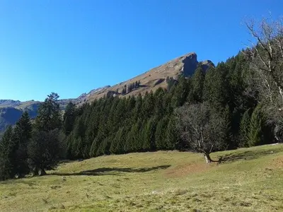 12193602_1188712947812493_5018667795389108451_n