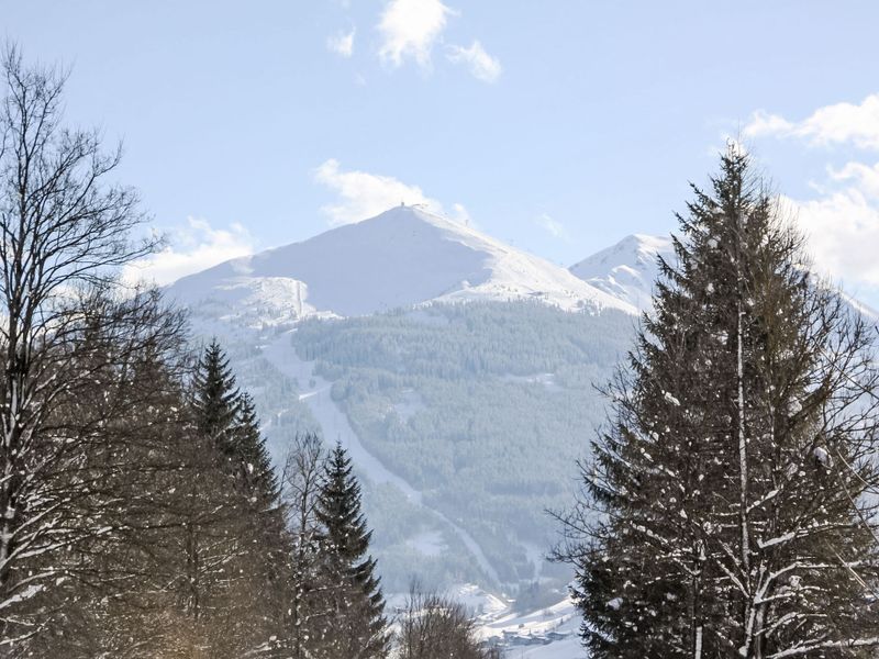 23839640-Ferienwohnung-2-Bad Hofgastein-800x600-2