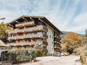 Ferienwohnung für 4 Personen (45 m²) in Bad Hofgastein
