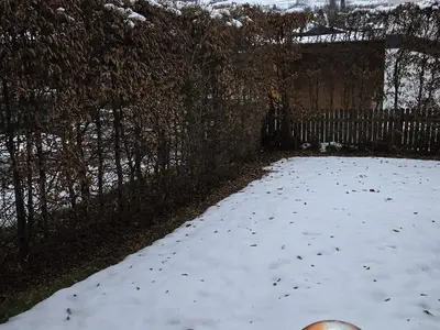 20241215_120428