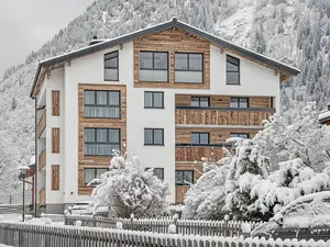 Ferienwohnung für 4 Personen (38 m²) in Bad Hofgastein