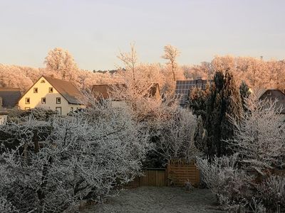 Garten im Winter