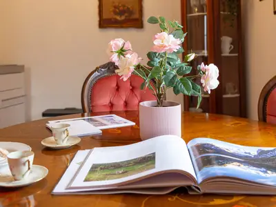 Ferienwohnung für 2 Personen (49 m²) in Bad Ischl 2/10