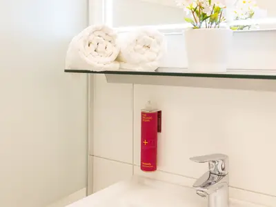 Ferienwohnung für 2 Personen (33 m²) in Bad Ischl 10/10