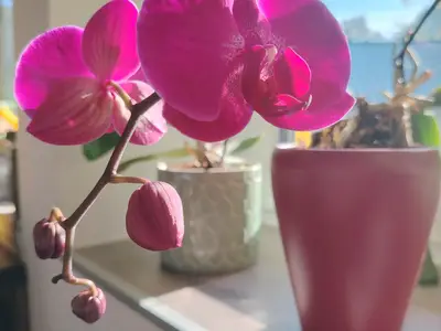 Ferienwohnung für 4 Personen (64 m²) in Bad Ischl 1/10