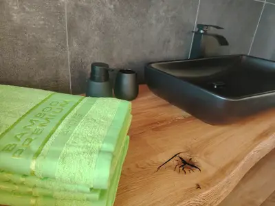 Ferienwohnung für 4 Personen (64 m²) in Bad Ischl 10/10