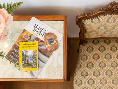 Ferienwohnung für 2 Personen (33 m²) in Bad Ischl 9/10