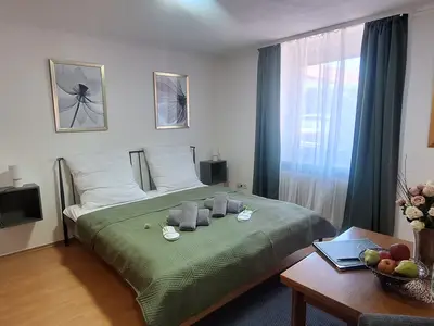 Ferienwohnung für 2 Personen (17 m²) in Bad Kissingen 1/9