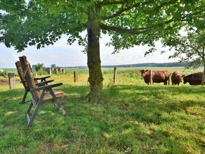 23960460-Ferienwohnung-5-Bad Kleinen-300x225-3