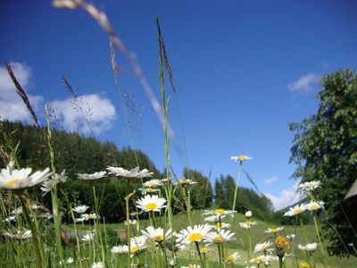 Frühling