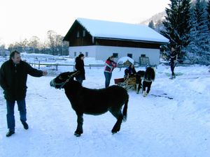 23360455-Ferienwohnung-7-Bad Kleinkirchheim-300x225-5