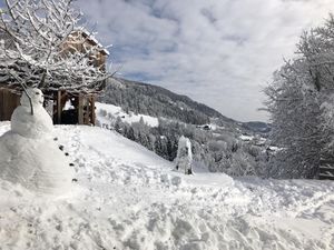 23360592-Ferienwohnung-5-Bad Kleinkirchheim-300x225-1