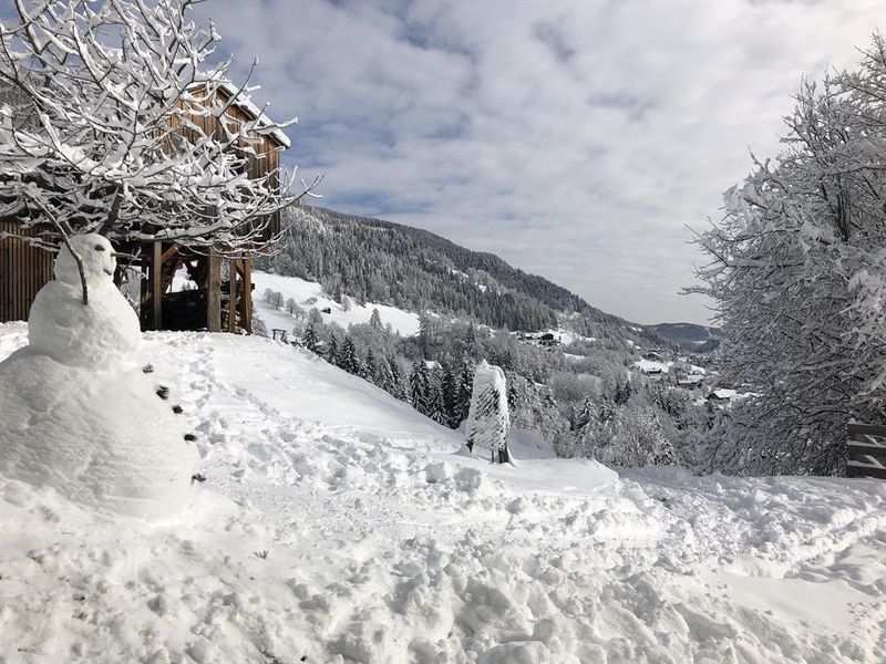 23360591-Ferienwohnung-3-Bad Kleinkirchheim-800x600-1