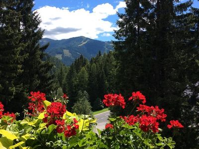 Blick vom Balkon