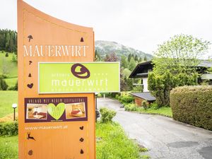 23360707-Ferienwohnung-5-Bad Kleinkirchheim-300x225-1